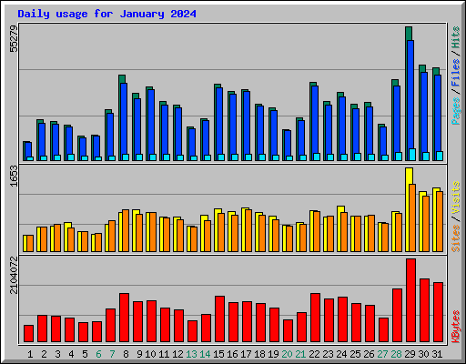 Daily usage for January 2024