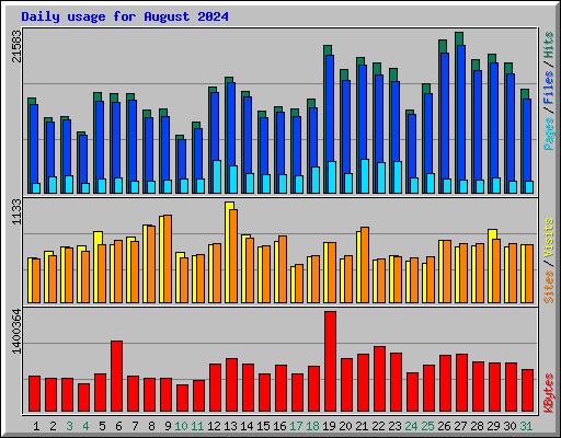 Daily usage for August 2024