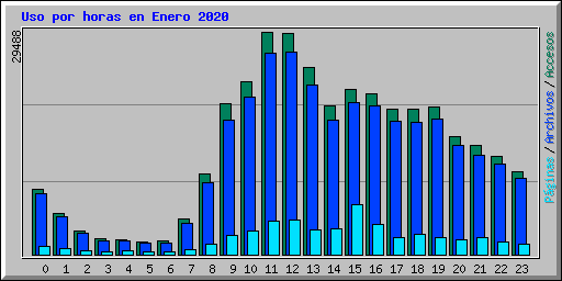 Uso por horas en Enero 2020