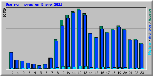 Uso por horas en Enero 2021