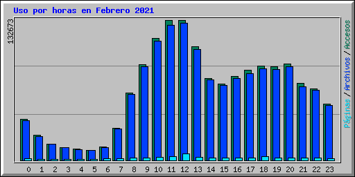Uso por horas en Febrero 2021