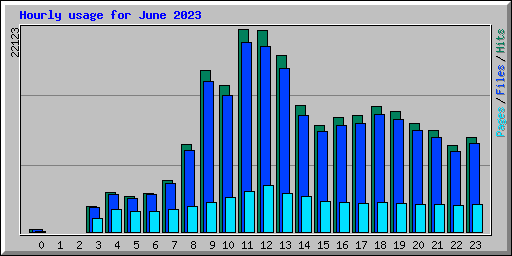 Hourly usage for June 2023