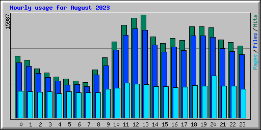 Hourly usage for August 2023