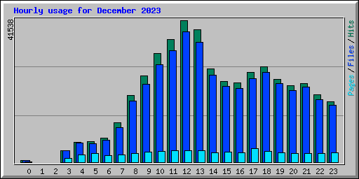 Hourly usage for December 2023