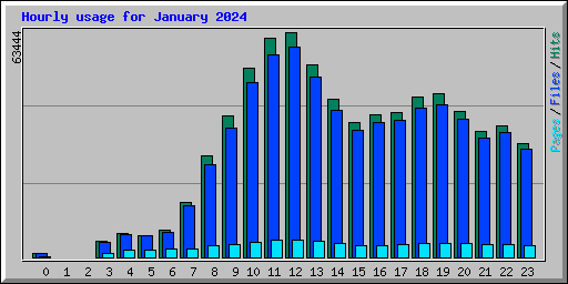 Hourly usage for January 2024