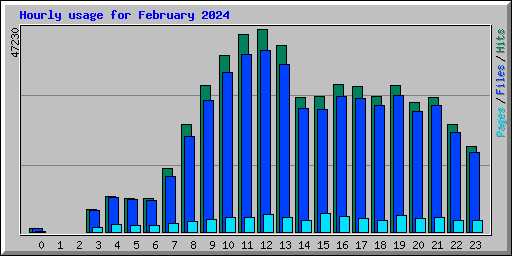 Hourly usage for February 2024