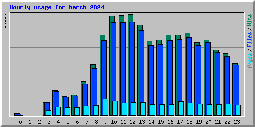 Hourly usage for March 2024