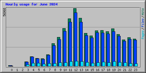 Hourly usage for June 2024