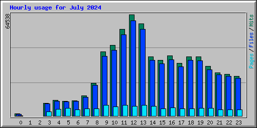 Hourly usage for July 2024