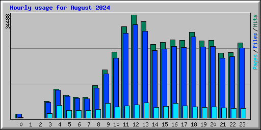 Hourly usage for August 2024