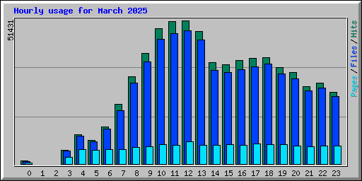 Hourly usage for March 2025