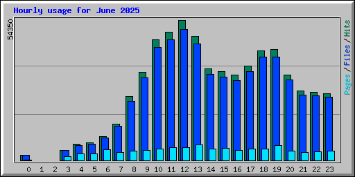 Hourly usage for June 2025