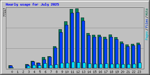 Hourly usage for July 2025