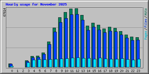 Hourly usage for November 2025