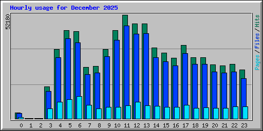 Hourly usage for December 2025
