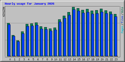 Hourly usage for January 2026
