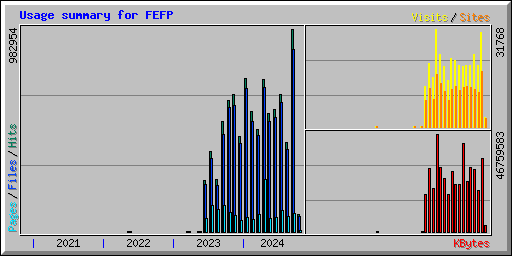 Usage summary for FEFP