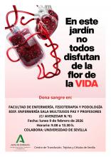 donacion